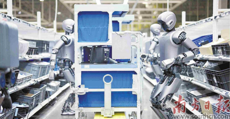 優(yōu)必選工業(yè)人形機(jī)器人在工廠開(kāi)展協(xié)同實(shí)訓(xùn)。 南方日?qǐng)?bào)記者 朱洪波 通訊員 羅艷 攝